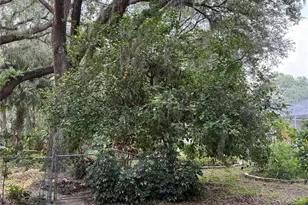 6116 Sweet Gum Run A, Bartow, FL 33830 - Photo 5