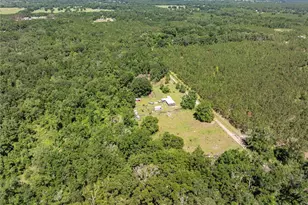 801 SW Daisy Rd, Lake City, FL 32024 - Photo 33