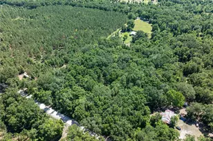 801 SW Daisy Rd, Lake City, FL 32024 - Photo 39