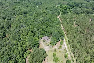 801 SW Daisy Rd, Lake City, FL 32024 - Photo 35