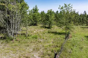 801 SW Daisy Rd, Lake City, FL 32024 - Photo 47