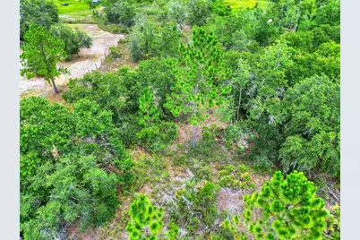 0 Allison Avenue, Lake Wales, FL 33859 - Photo 11