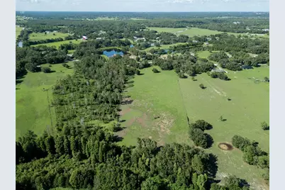 902 Giant Oak Road, Lakeland, FL 33810 - Photo 7