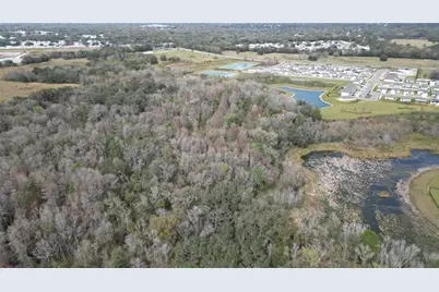 Lot 1 Land Road, Zephyrhills, FL 33540 - Photo 9