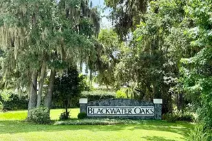 2932 Blackwater Oaks Dr, Mulberry, FL 33860 - Photo 49