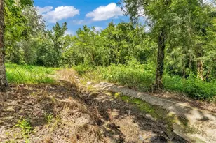 512 Water Oak Ct, Fort Meade, FL 33841 - Photo 33