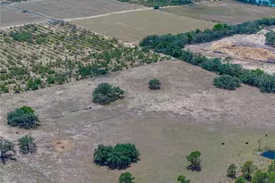 10790 Jim Edwards Rd, Haines City, FL 33844 - Photo 17