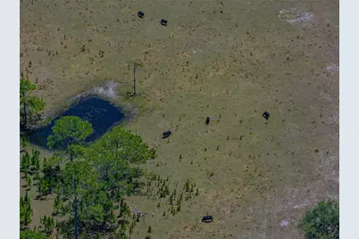 10790 Jim Edwards Road, Haines City, FL 33844 - Photo 35