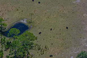 10790 Jim Edwards Rd, Haines City, FL 33844 - Photo 35