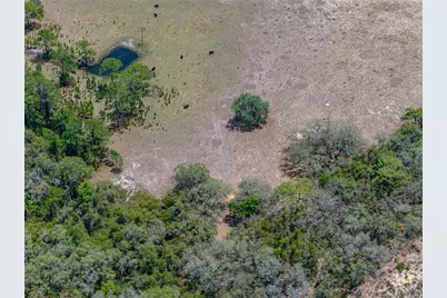 10790 Jim Edwards Road, Haines City, FL 33844 - Photo 29