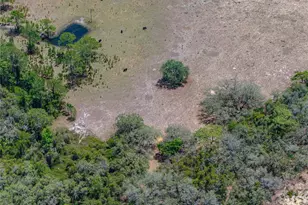 10790 Jim Edwards Rd, Haines City, FL 33844 - Photo 29