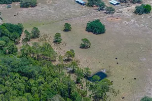 10790 Jim Edwards Rd, Haines City, FL 33844 - Photo 27