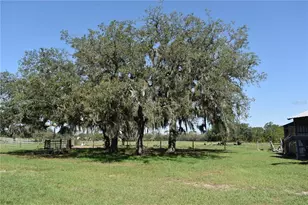 10790 Jim Edwards Rd, Haines City, FL 33844 - Photo 39