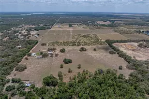 10790 Jim Edwards Rd, Haines City, FL 33844 - Photo 21