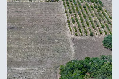 10790 Jim Edwards Road, Haines City, FL 33844 - Photo 7