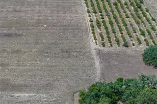 10790 Jim Edwards Rd, Haines City, FL 33844 - Photo 7