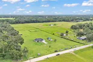 39360 Sparkman Rd, Dade City, FL 33525 - Photo 9