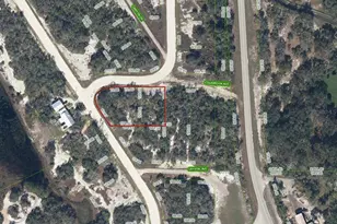 231 Lakeland Dr, Lake Placid, FL 33852 - Photo 1