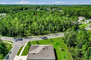 10 Caballero Ct, Ormond Beach, FL 32174 - Photo 33