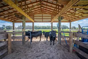 15383 Evans Ranch Rd, Lakeland, FL 33809 - Photo 59