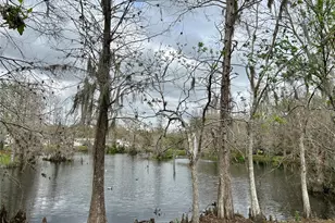 1120 Palmetto Ln, Bowling Green, FL 33834 - Photo 7