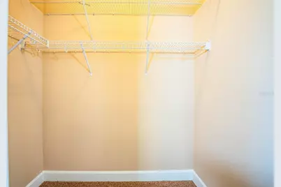 253 Alexander Woods Drive, Plant City, FL 33563 - Photo 43