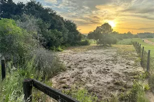 713 Sultenfuss Rd, Babson Park, FL 33827 - Photo 37