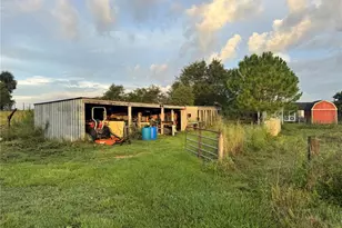 713 Sultenfuss Rd, Babson Park, FL 33827 - Photo 57