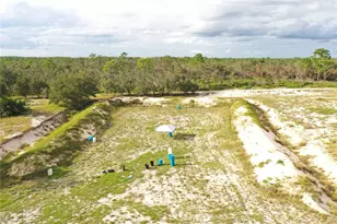 713 Sultenfuss Rd, Babson Park, FL 33827 - Photo 69