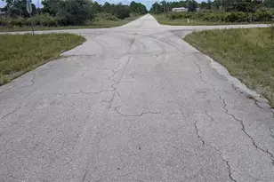 3430 Gerber Ave, Lake Placid, FL 33852 - Photo 3