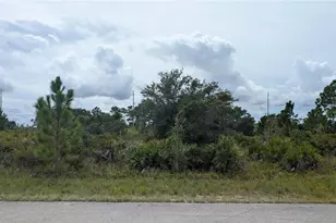 3430 Gerber Ave, Lake Placid, FL 33852 - Photo 1