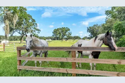 1305 Cherry Lane, Lakeland, FL 33811 - Photo 9