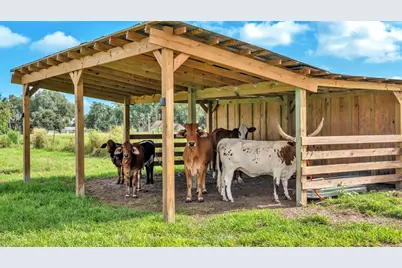 1305 Cherry Lane, Lakeland, FL 33811 - Photo 13