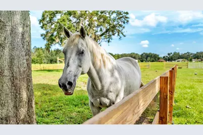 1305 Cherry Lane, Lakeland, FL 33811 - Photo 33