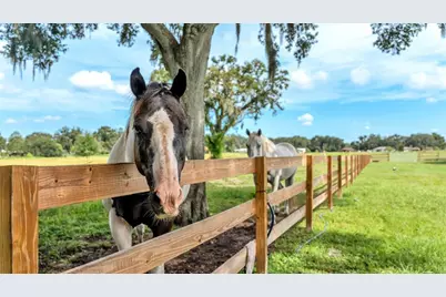 1305 Cherry Lane, Lakeland, FL 33811 - Photo 37