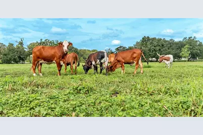 1305 Cherry Lane, Lakeland, FL 33811 - Photo 27
