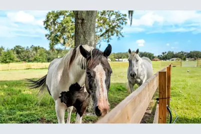 1305 Cherry Lane, Lakeland, FL 33811 - Photo 31