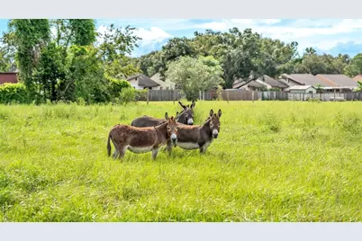 1305 Cherry Lane, Lakeland, FL 33811 - Photo 19