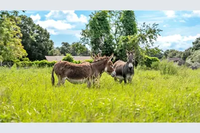1305 Cherry Lane, Lakeland, FL 33811 - Photo 21