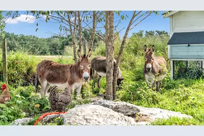 1305 Cherry Lane, Lakeland, FL 33811 - Photo 15