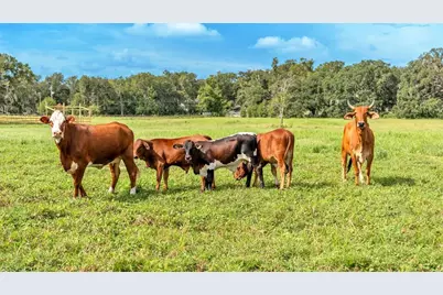 1305 Cherry Lane, Lakeland, FL 33811 - Photo 25