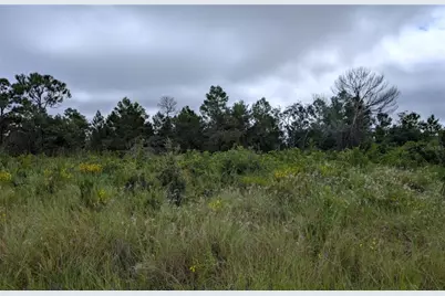 109 Falcon Court NW, Lake Placid, FL 33852 - Photo 1