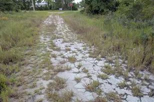 109 Falcon Ct NW, Lake Placid, FL 33852 - Photo 3