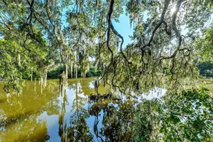 3050 Cross Fox Dr, Mulberry, FL 33860 - Photo 47