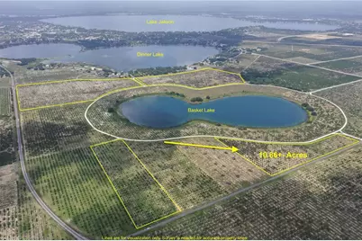 3113 Power Line Road, Avon Park, FL 33825 - Photo 3