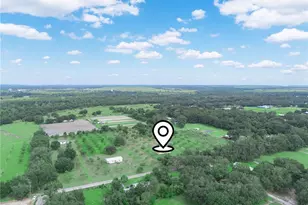 8564 Carey Rd, Lithia, FL 33547 - Photo 9