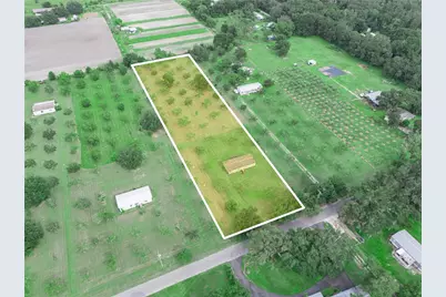 8564 Carey Road, Lithia, FL 33547 - Photo 3