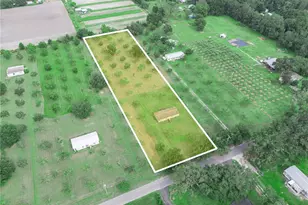 8564 Carey Rd, Lithia, FL 33547 - Photo 3