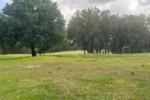 3455 E Fairway Vista Dr, Avon Park, FL 33825 - Photo 31