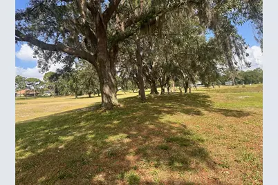 3455 E Fairway Vista Drive, Avon Park, FL 33825 - Photo 25